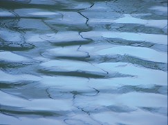 王小慧摄影作品4