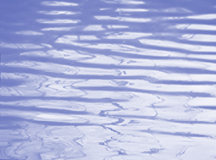 王小慧摄影作品2