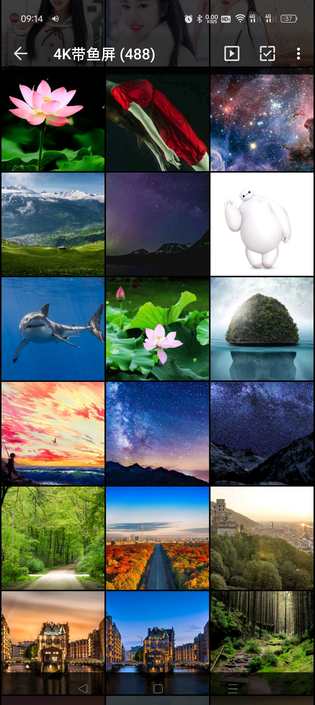 4K带鱼屏488p