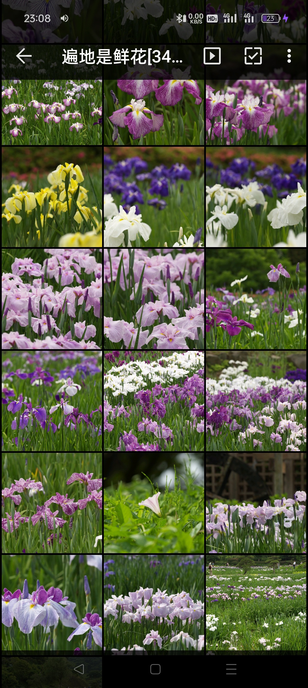 遍地是鲜花[34P]