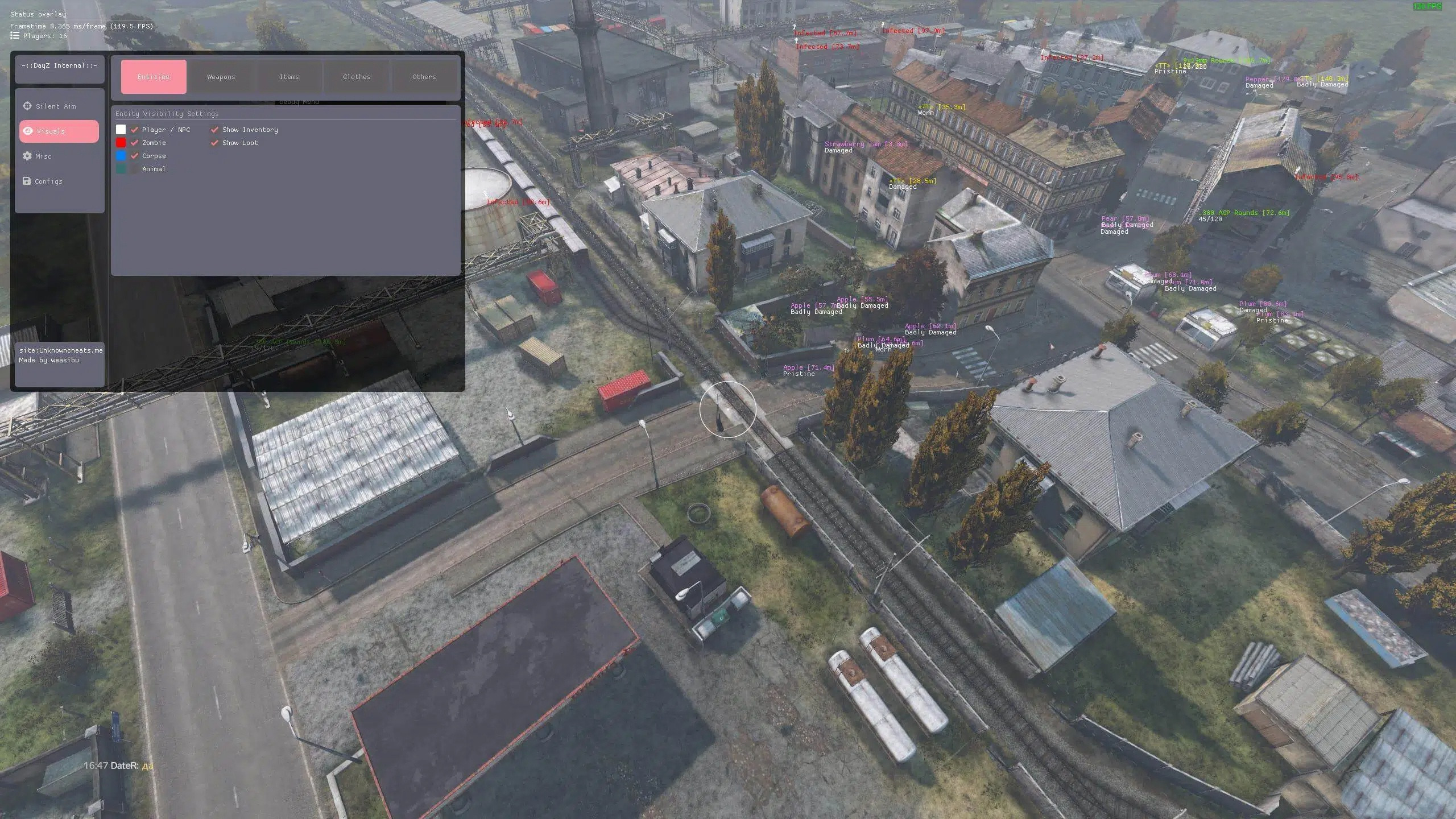 DayZ·内部透视自瞄加速辅助v2.1.5