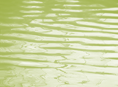 王小慧摄影作品1