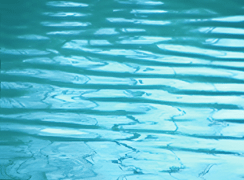 王小慧摄影作品3