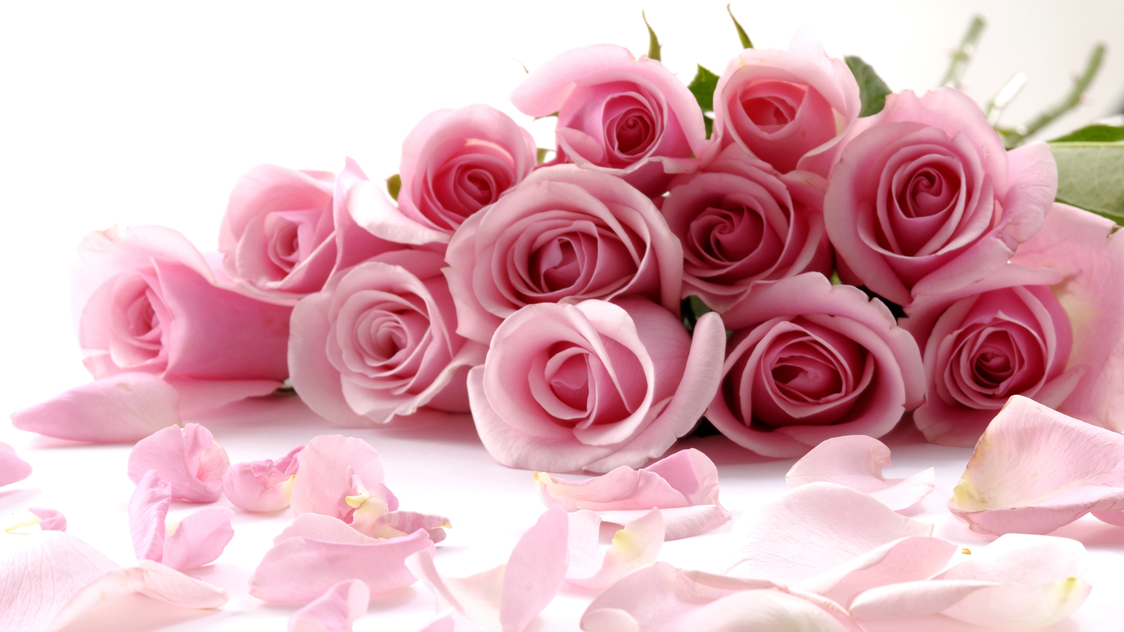 图Vladstudio Wallpaper HD Huge Pack 599p files