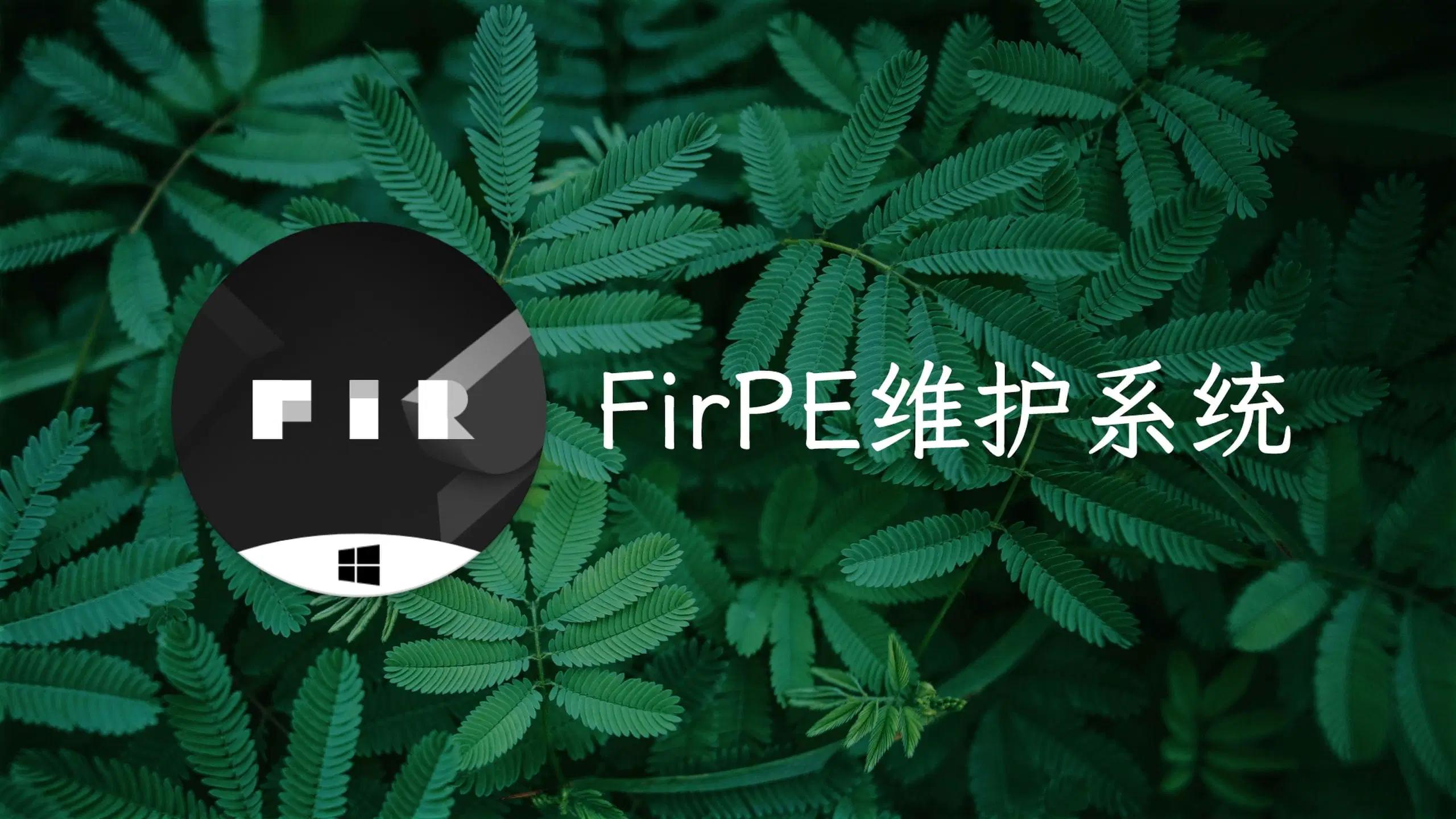 FirPE 维护系统