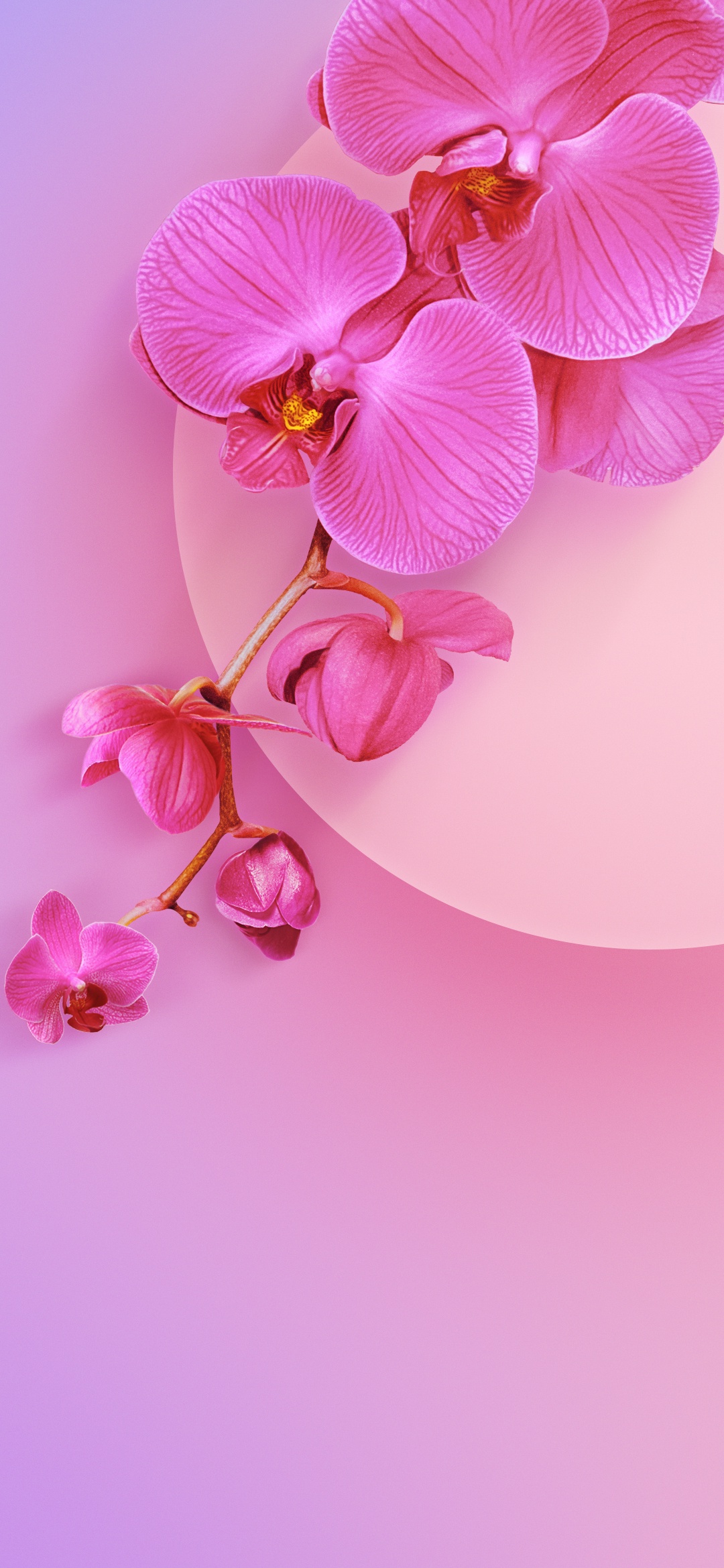 图Microsoft_Wallpapers412p