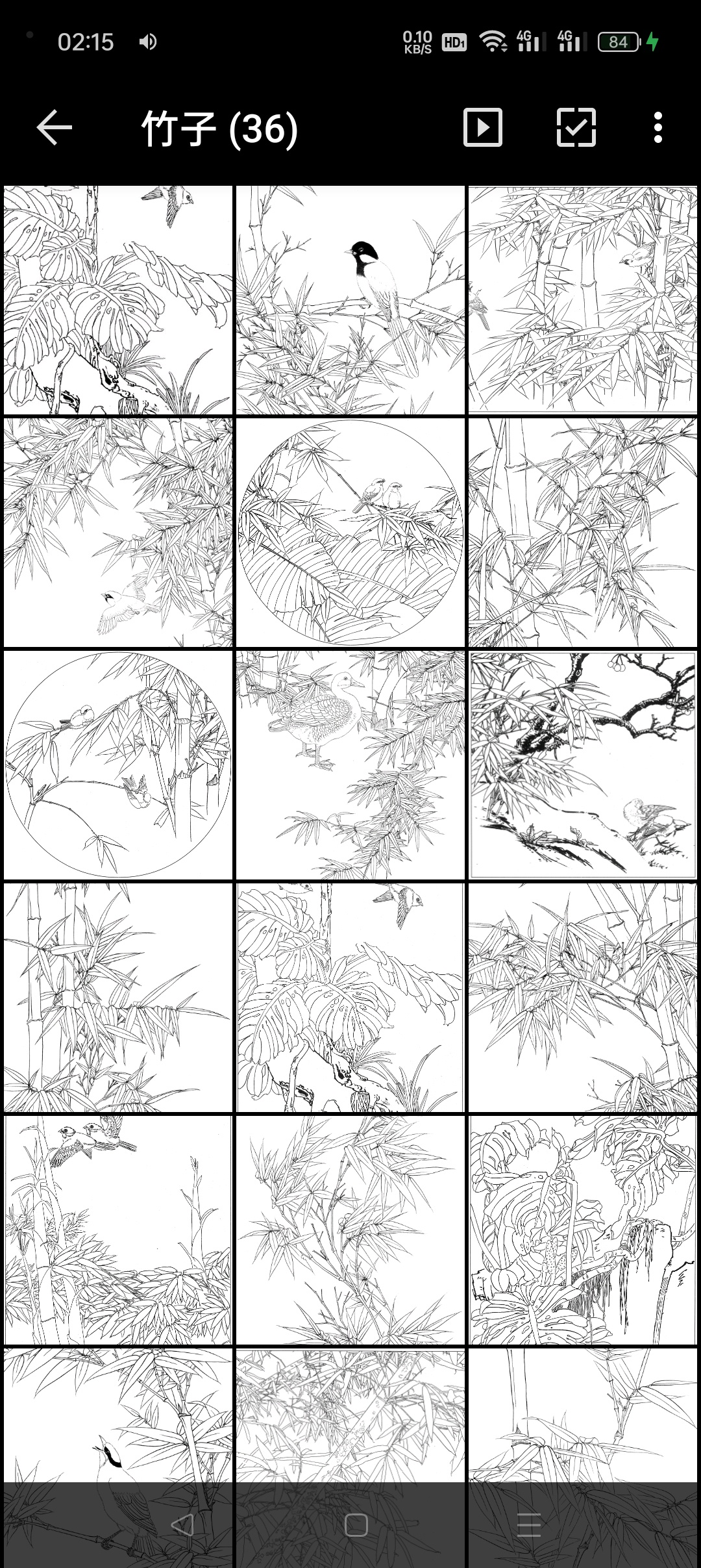 梅兰竹菊白描工笔花卉底稿168p